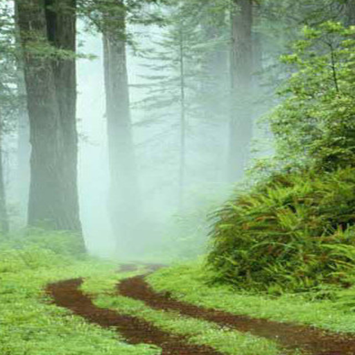 Vitosha Decision Maker